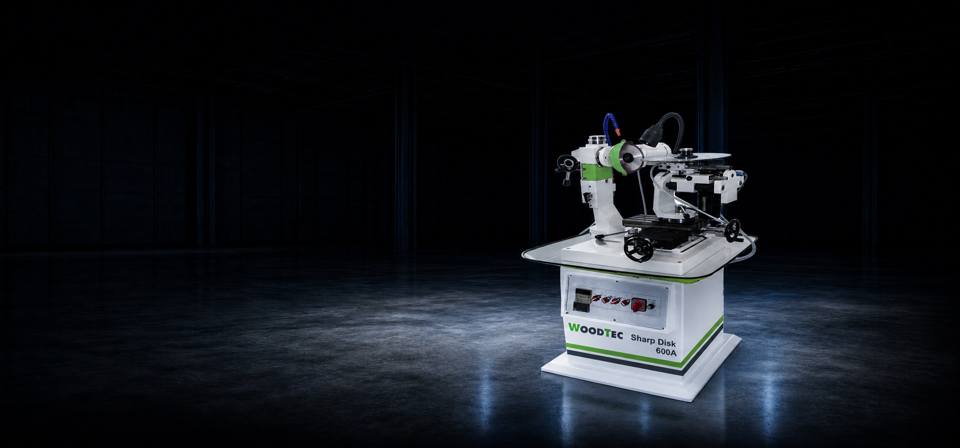 Станок для заточки дисковых пил с напайками WoodTec Sharp Disk 600A главное фото