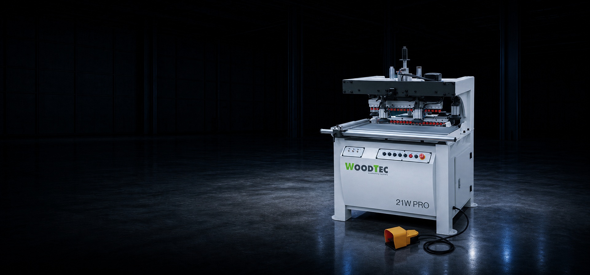 Станок сверлильно-присадочный WoodTec 21W PRO главное фото